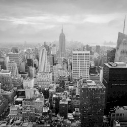 New city