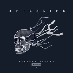 Afterlife