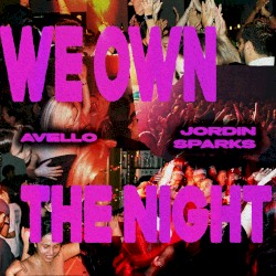 WE OWN THE NIGHT