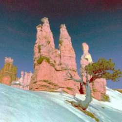 Ravine