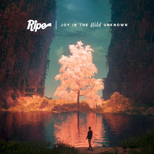 Joy in the Wild Unknown