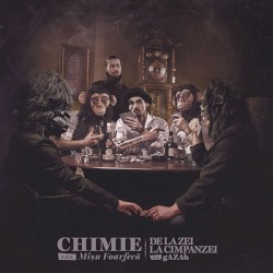 De la Zei la Cimpanzei