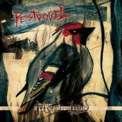Pestvogel
