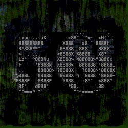 5G