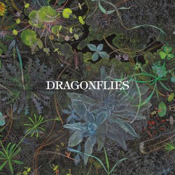Dragonflies