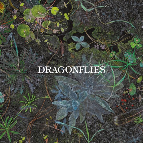 Dragonflies