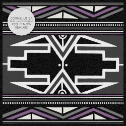 Feel It Now (Remixes) EP