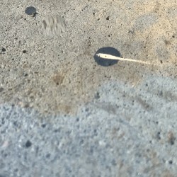 Coastal Comet