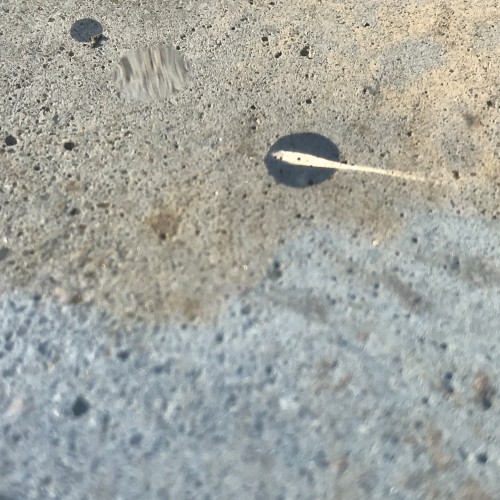 Coastal Comet