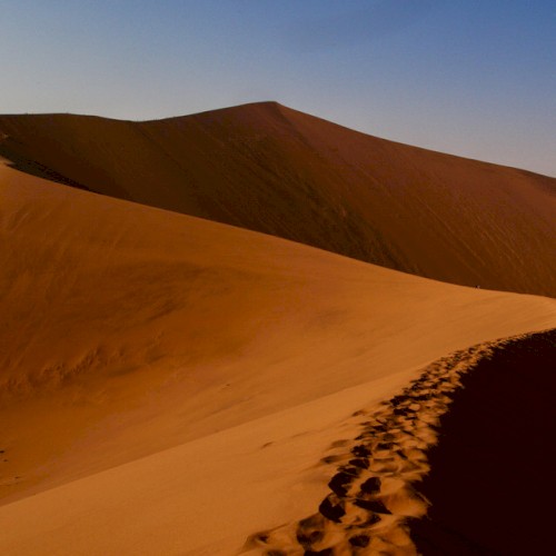 Desert
