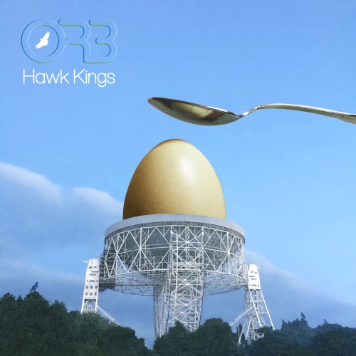 Hawk Kings