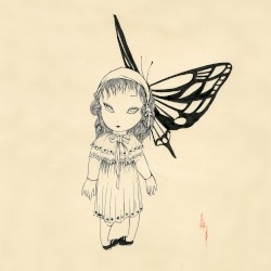 蝶のすむ部屋