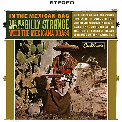 In the Mexican Bag