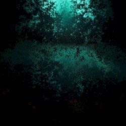 Insanity Ocean