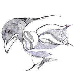 Kasasagi