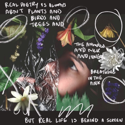 Real poetry is always about plants and birds and trees and the animals and milk and honey breathing in the pink but real life is behind a screen