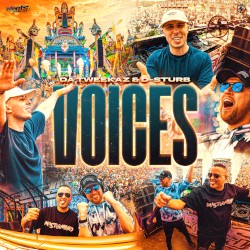 Voices