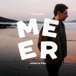 Stein in's Meer
