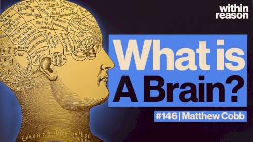 Within Reason #146, “The Most Complicated Thing in the Universe: What Is the Brain?”