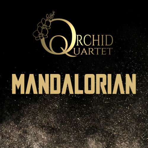 The Mandalorian