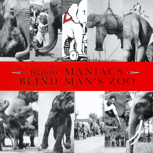 Blind Man’s Zoo