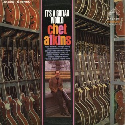It’s a Guitar World
