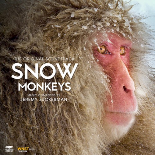Snow Monkeys