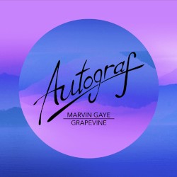 Grapevine (Autograf remix)