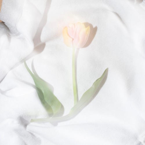 A Mistake
