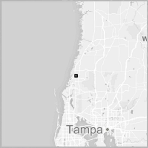 Pasco UFO Report