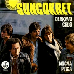 Dlakavo Čudo / Noćna Ptica