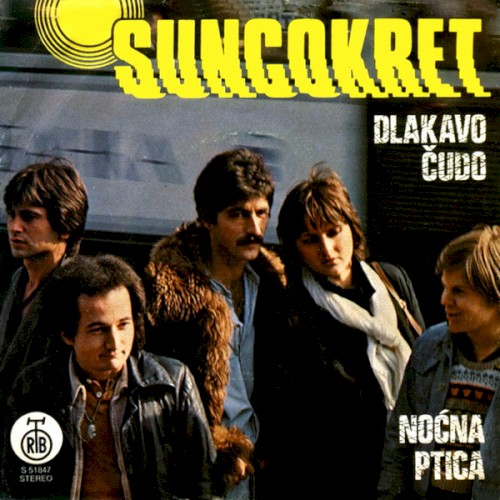 Dlakavo Čudo / Noćna Ptica