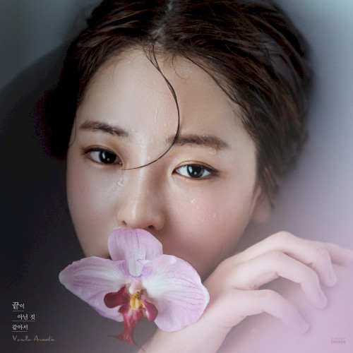 끝이 아닌 것 같아서