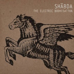 The Electric Bodhisattva