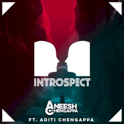 Introspect