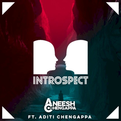 Introspect