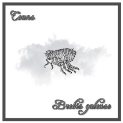 BREBIS GALEUSE