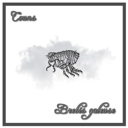 BREBIS GALEUSE
