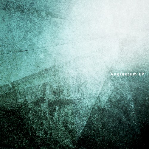 Angraecum EP