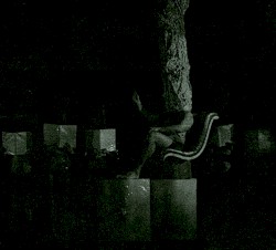The Living Breathing Organ Summer