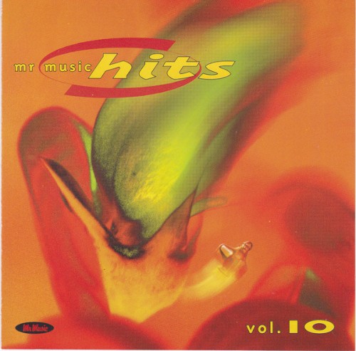 Mr Music Hits 10. 1999