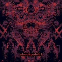 Checkpoint 1