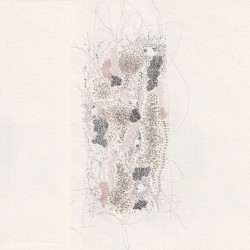 いんびじぶるぶれにゅ