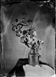UNTITLED