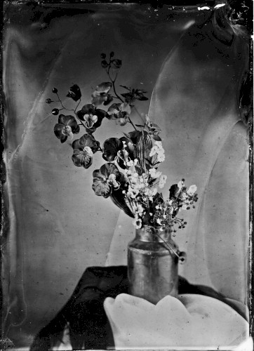 UNTITLED