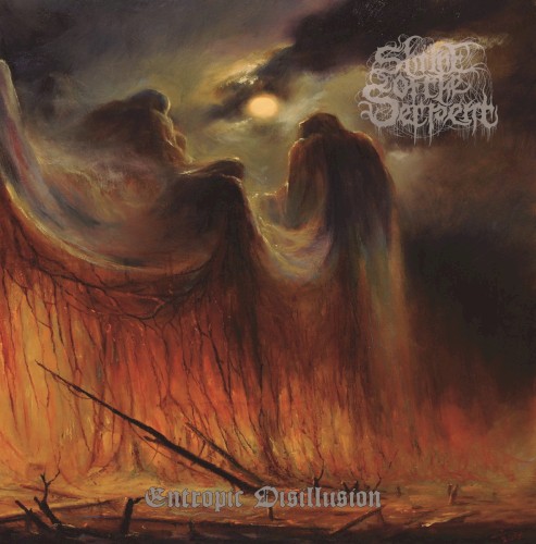 Entropic Disillusion