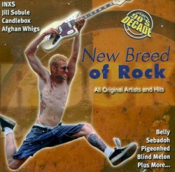 The 90s Decade: New Breed of Rock