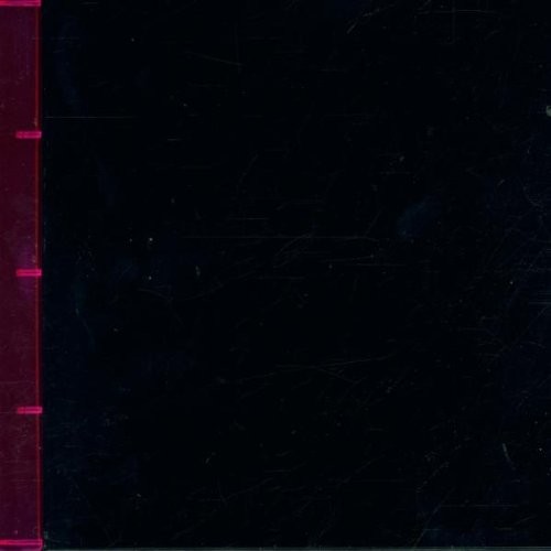 Electric Stew: The Album