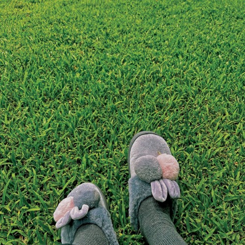 touch grass