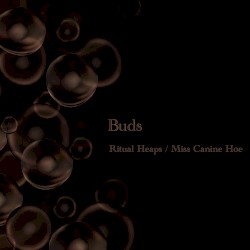 Buds
